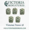 victoriantorsoresin.jpg (105681 bytes)